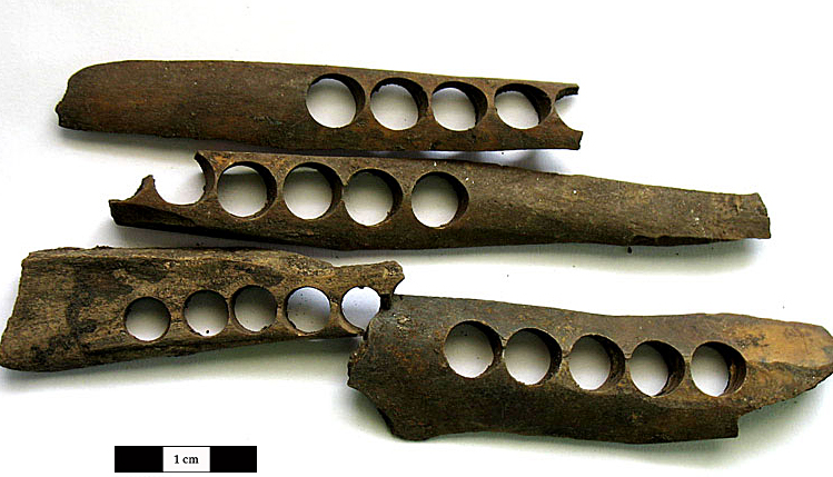 archeozoologie_1